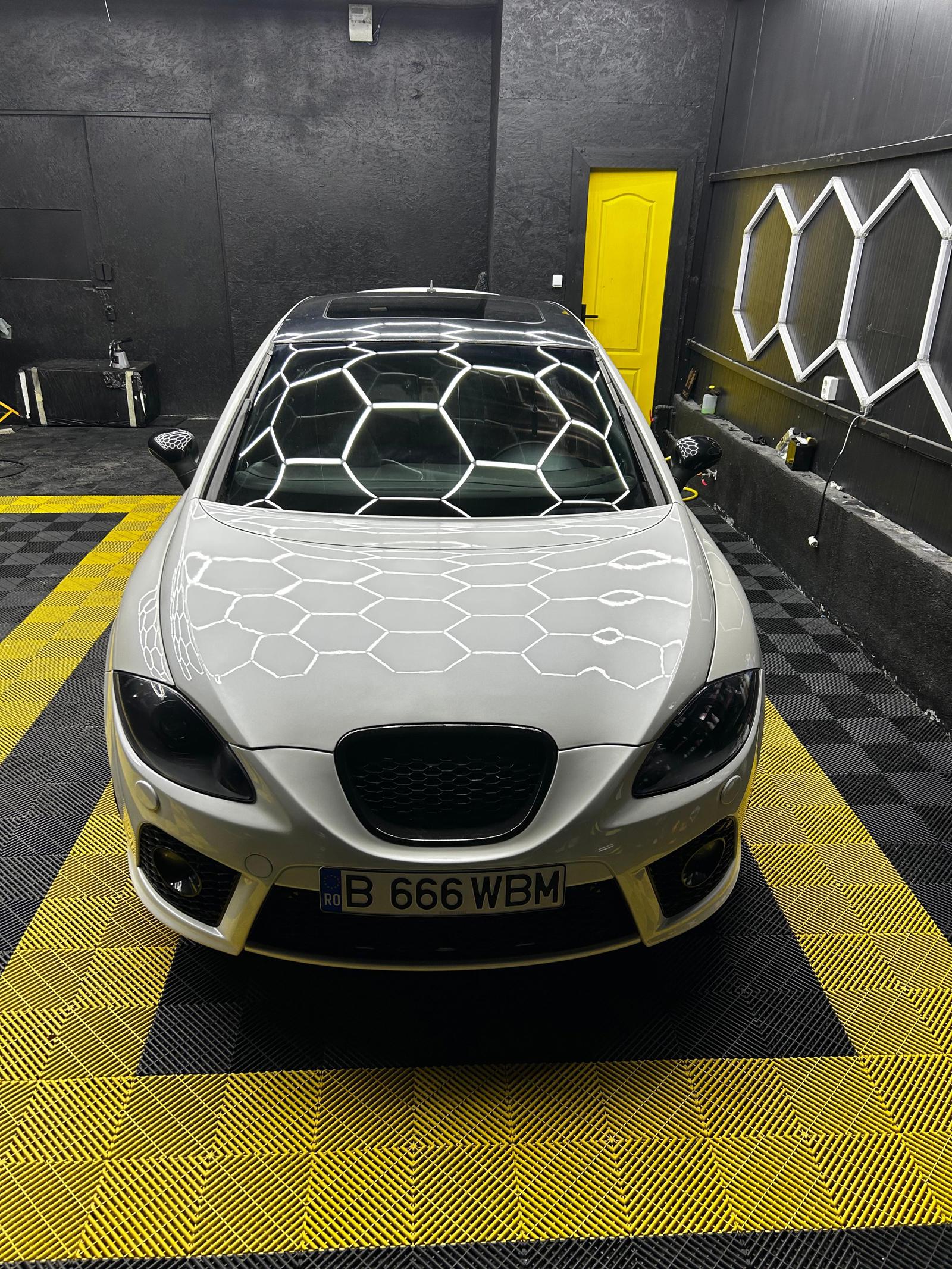 SEAT Leon 2009 benzina de vânzare